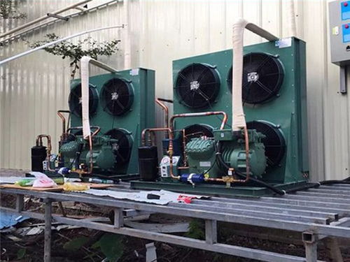 荔灣區(qū)冷庫工廠直營 健康為首，兼顧專業(yè)維修培訓服務